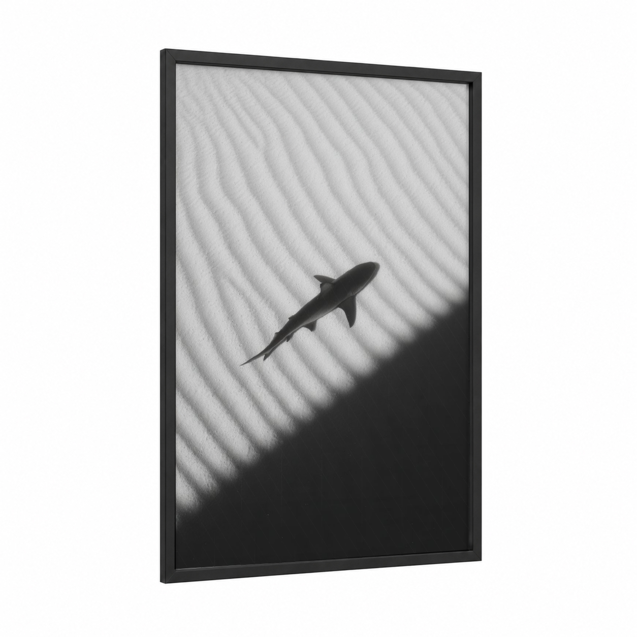 Shadow Shark framed sand tiger shark print — black wood frame — black and white and gray palette