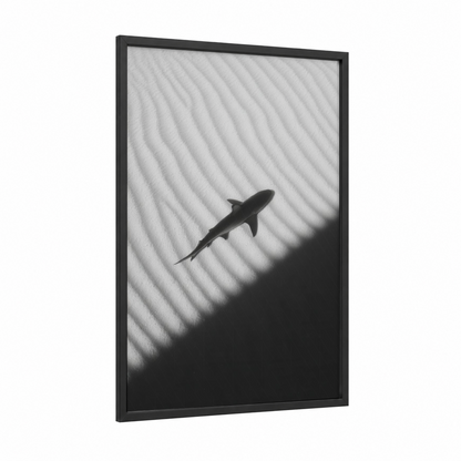 Shadow Shark framed sand tiger shark print — black wood frame — black and white and gray palette