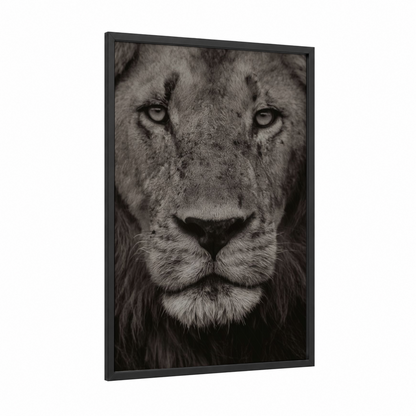 Intense Lion Portrait framed art print — black wood frame — black and white palette