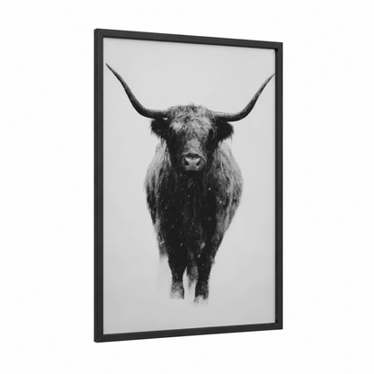 Snowy Highland framed highland cow print — black wood frame — black and white palette