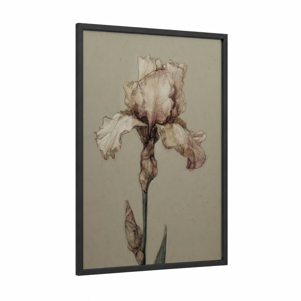 Vintage Iris Study framed art print — black wood frame — beige and brown palette