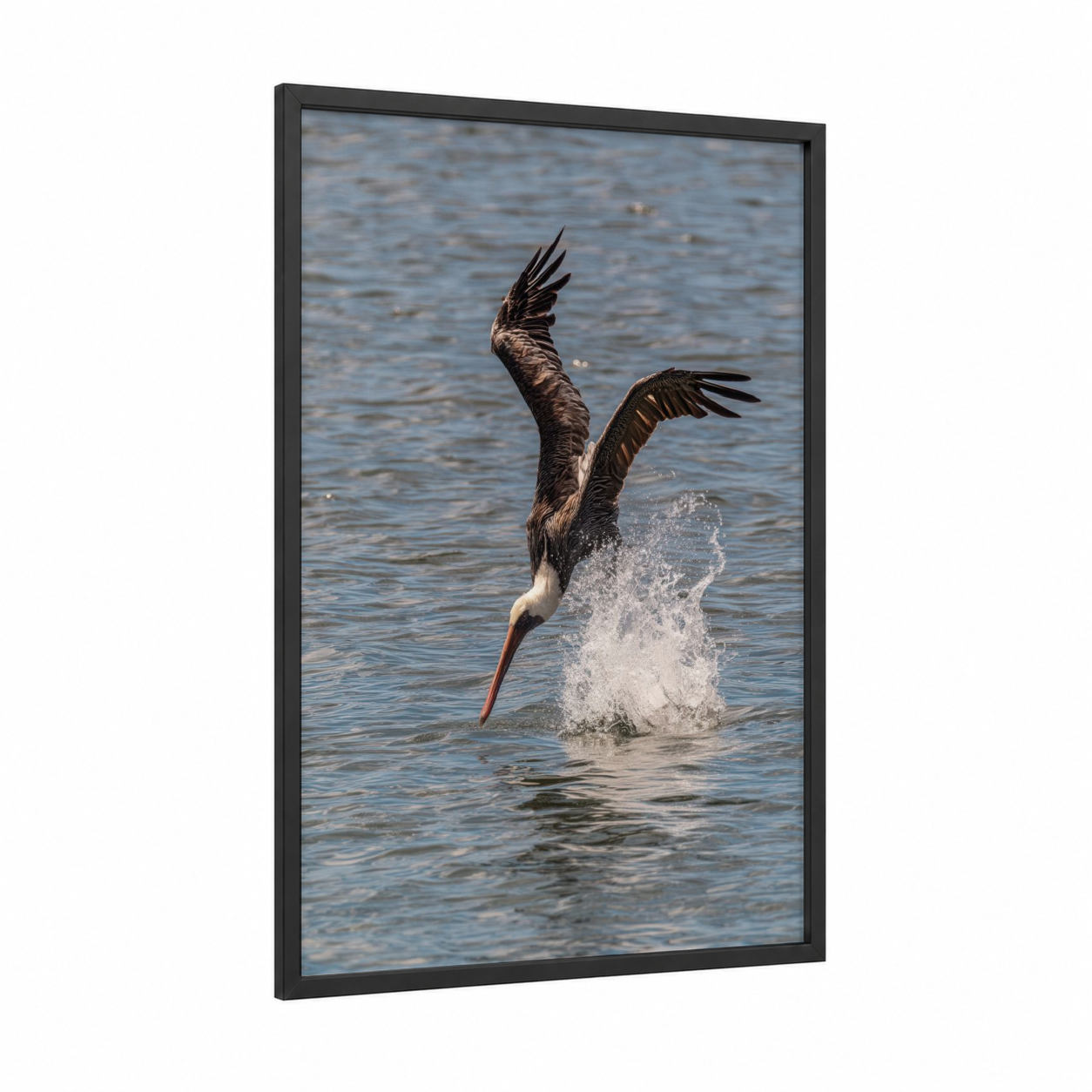 Diving Pelican framed art print — black wood frame — blue and white and black palette