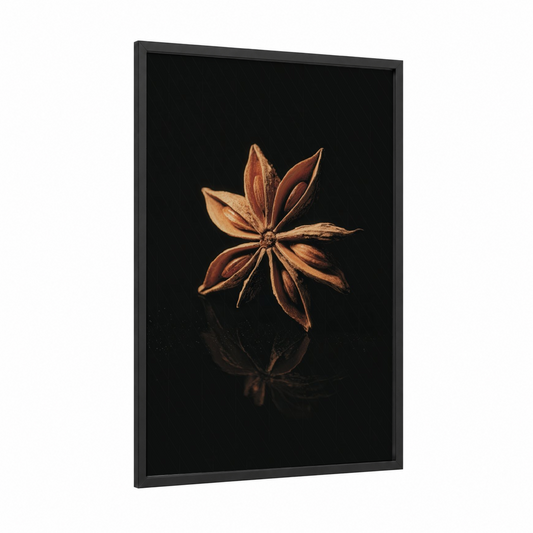 Star Anise Study framed herbs and spices print — black wood frame — gold and black palette