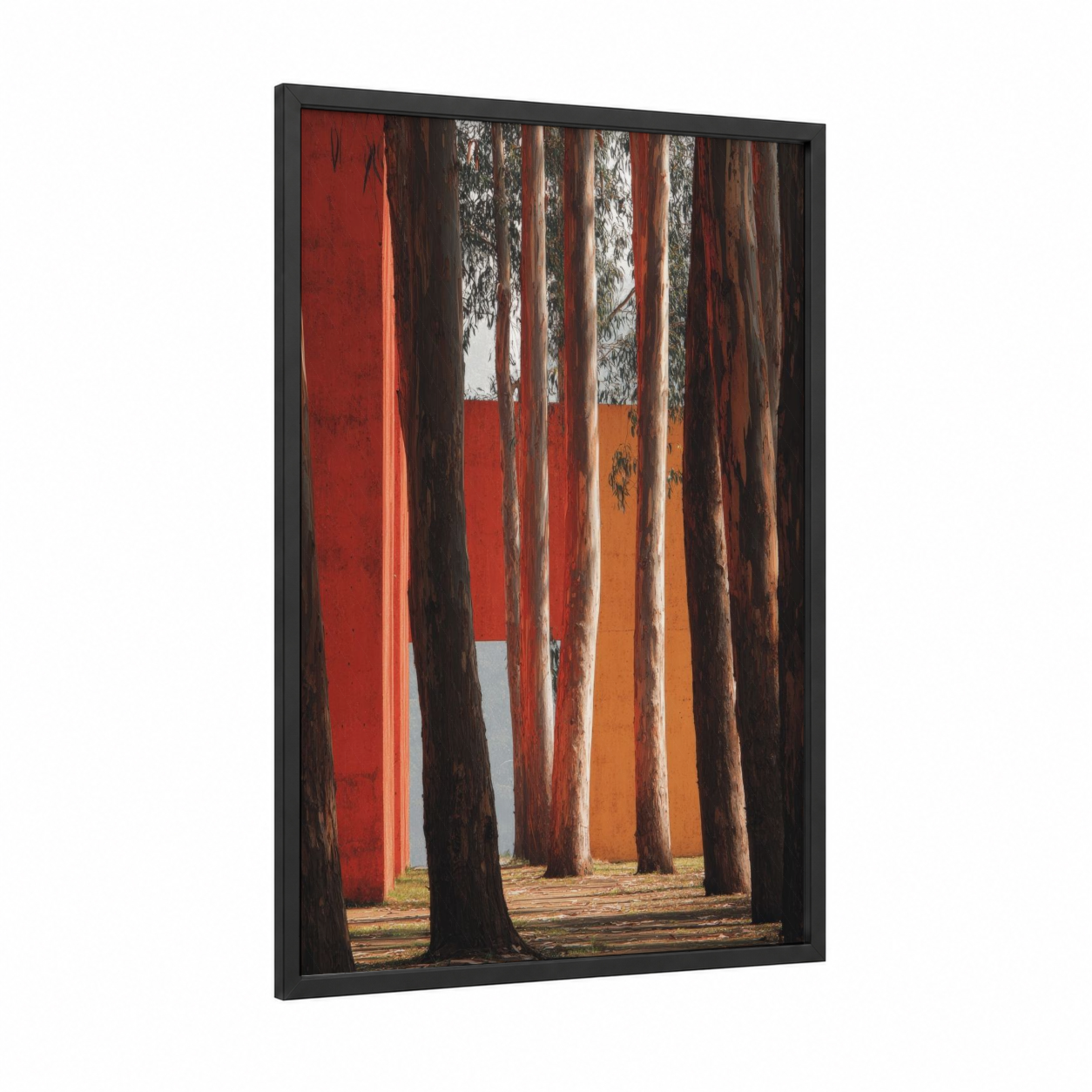 Crimson Forest Cathedral framed eucalyptus forest print — black wood frame — red and black and white palette