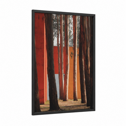 Crimson Forest Cathedral framed eucalyptus forest print — black wood frame — red and black and white palette