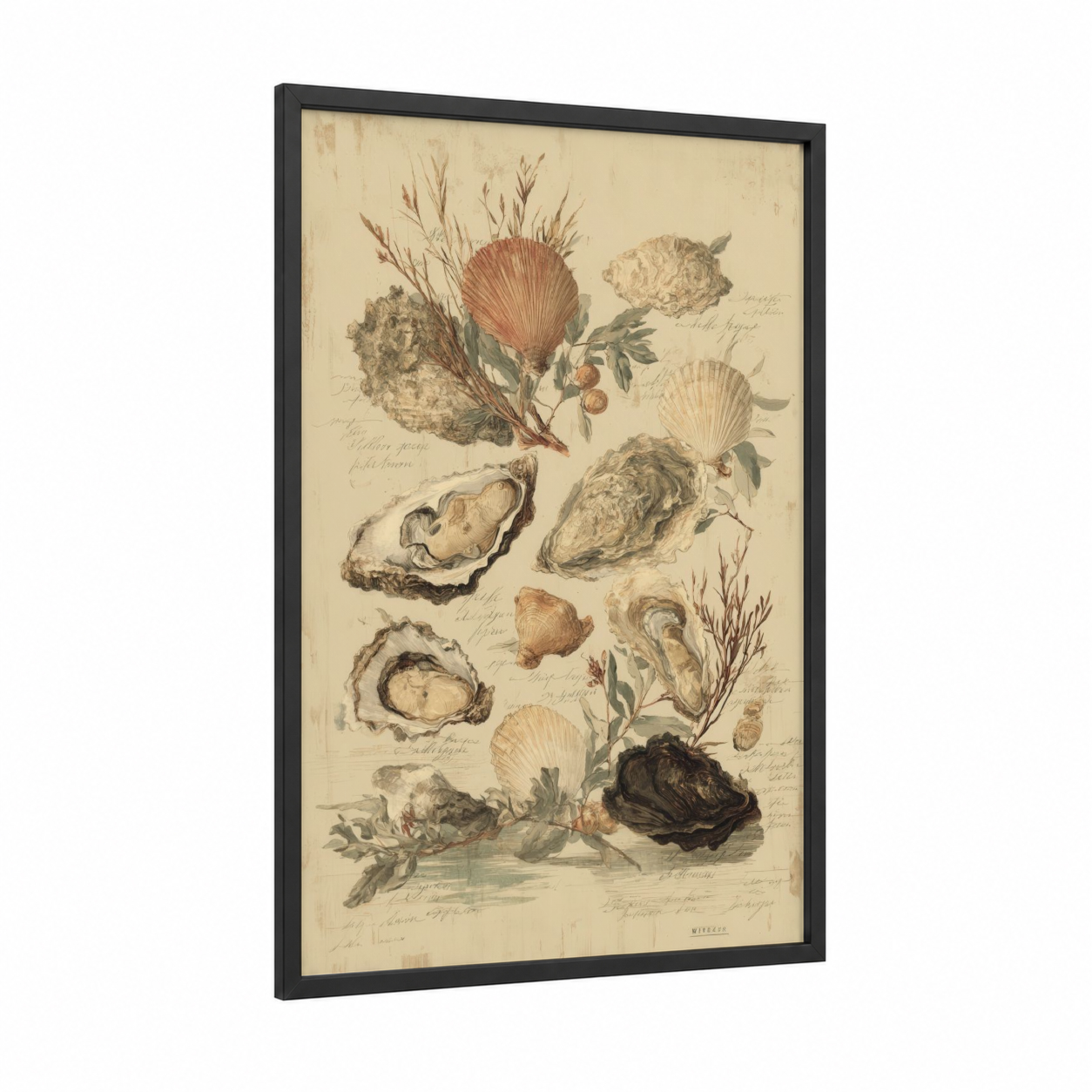 Vintage Oyster Study framed art print — black wood frame — beige and russet palette