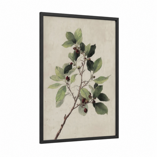 Burgundy Banyan Branch framed banyan tree print — black wood frame — light green and cream palette