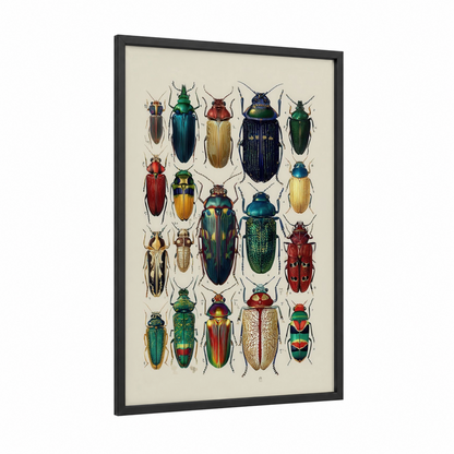 Jeweled Beetle Collection framed art print — black wood frame — green and gold palette