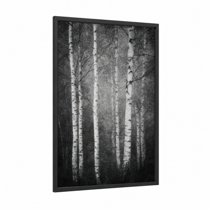 Misty Birch Forest framed art print — black wood frame — black and white and gray palette