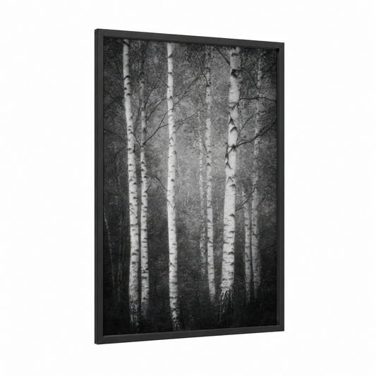 Misty Birch Forest framed art print — black wood frame — black and white and gray palette