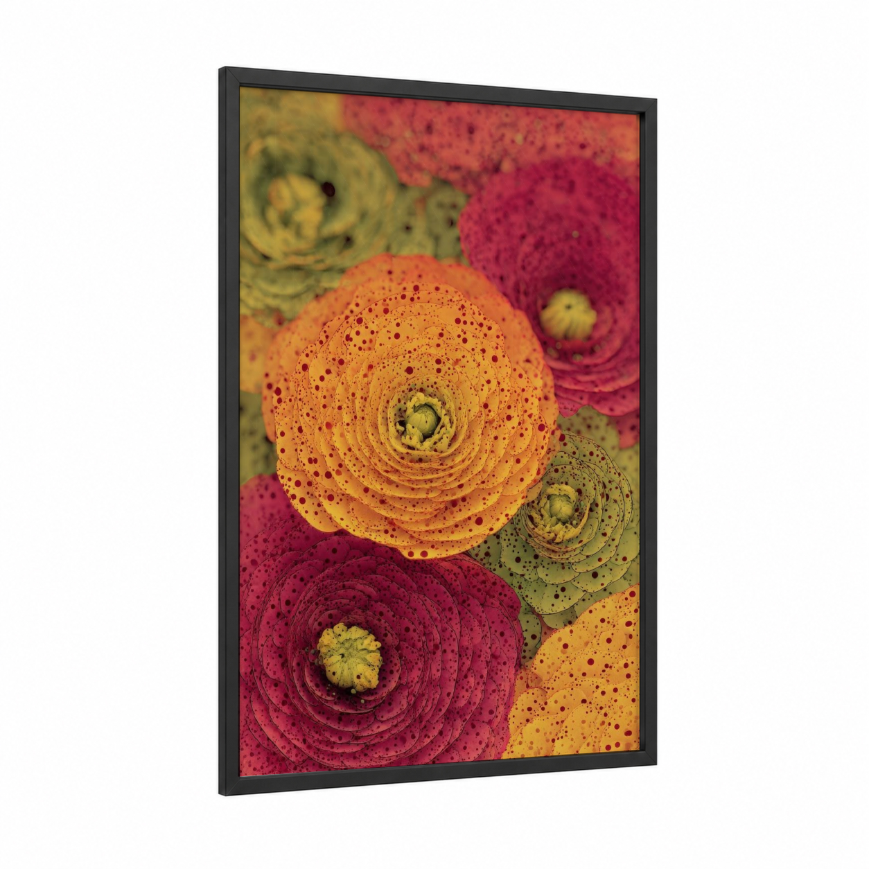 Vibrant Ranunculus Blooms framed art print — black wood frame — orange and magenta palette
