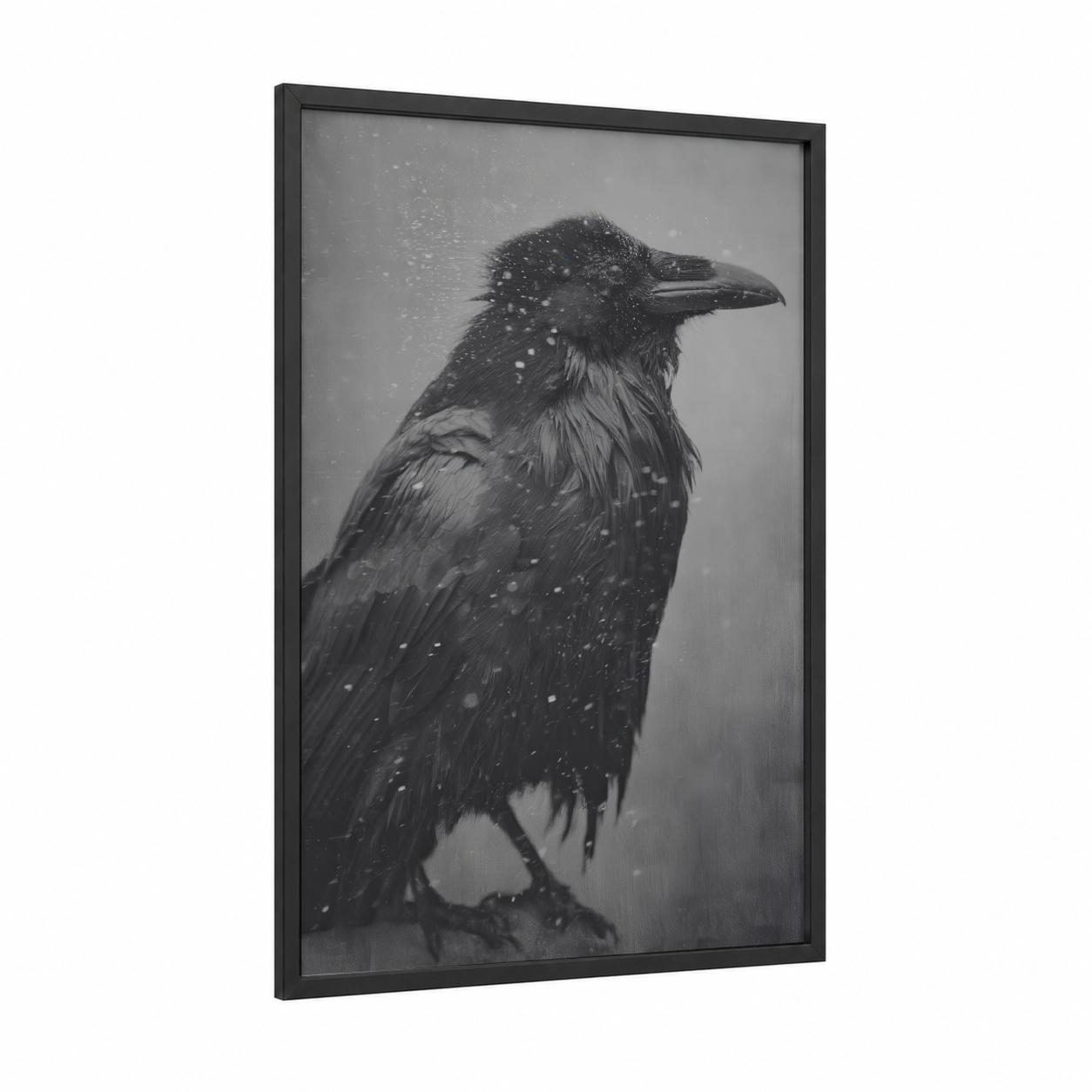 Snowy Raven framed crows and ravens print — black wood frame — black and white and gray palette