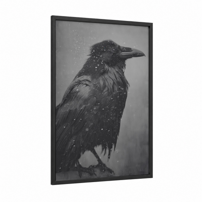 Snowy Raven framed crows and ravens print — black wood frame — black and white and gray palette
