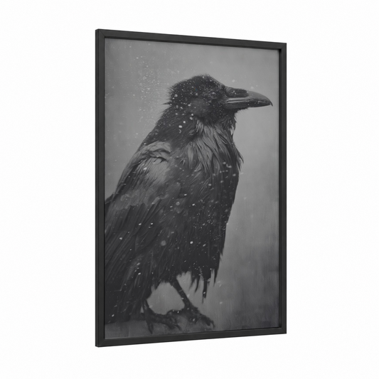 Snowy Raven framed crows and ravens print — black wood frame — black and white and gray palette