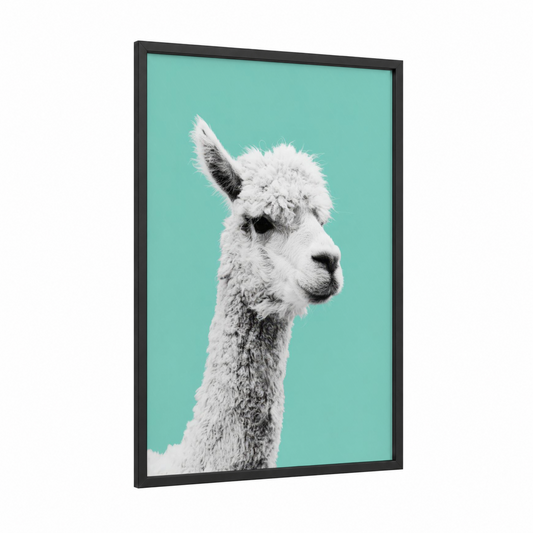 Turquoise Alpaca framed art print — black wood frame — white and aquamarine palette