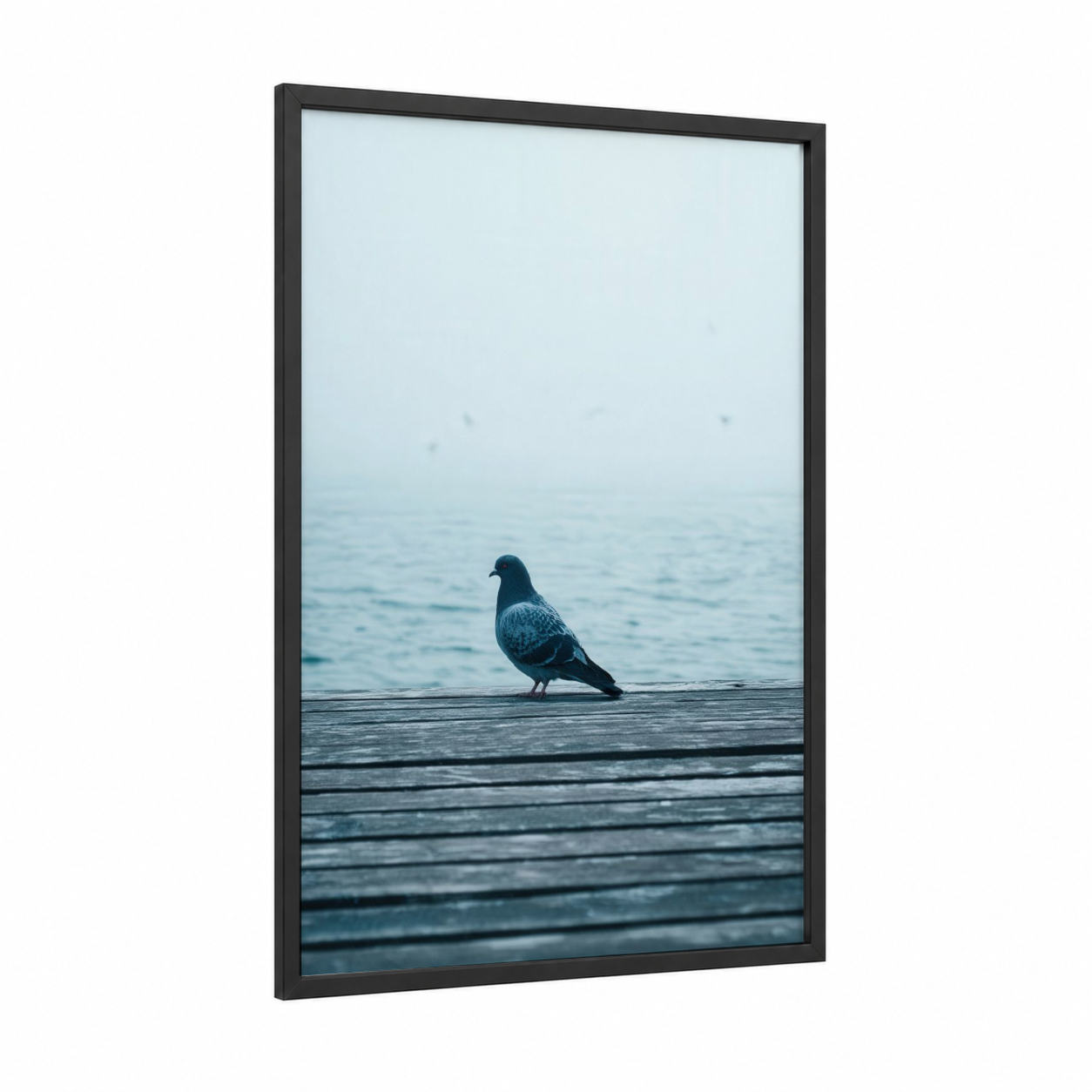 Solitary Pigeon framed art print — black wood frame — blue and gray and gray palette