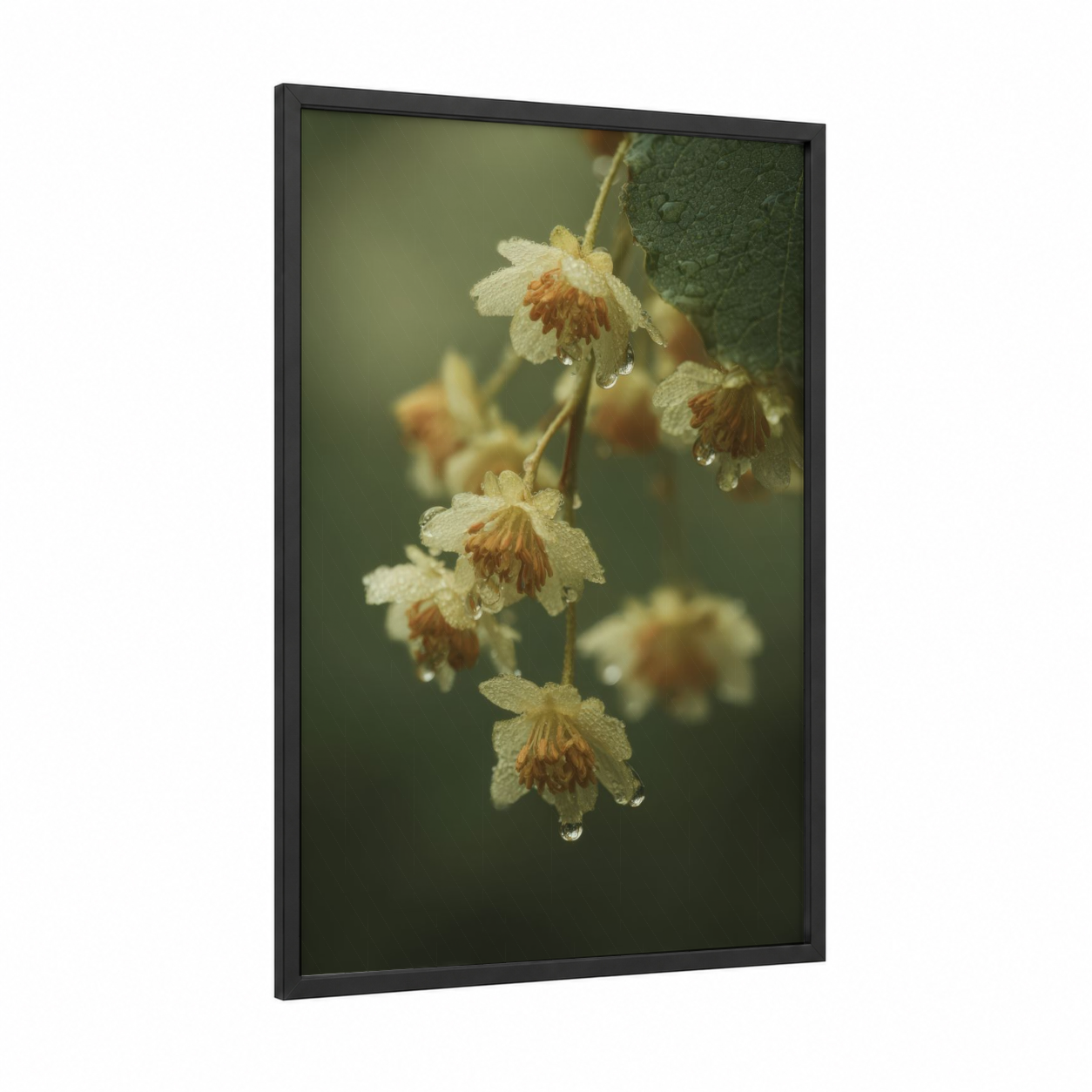 Dewdrop Linden framed linden tree print — black wood frame — cream and sage green palette