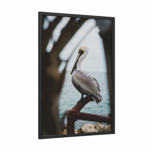 Coastal Pelican framed art print — black wood frame — gray and white and dove gray palette