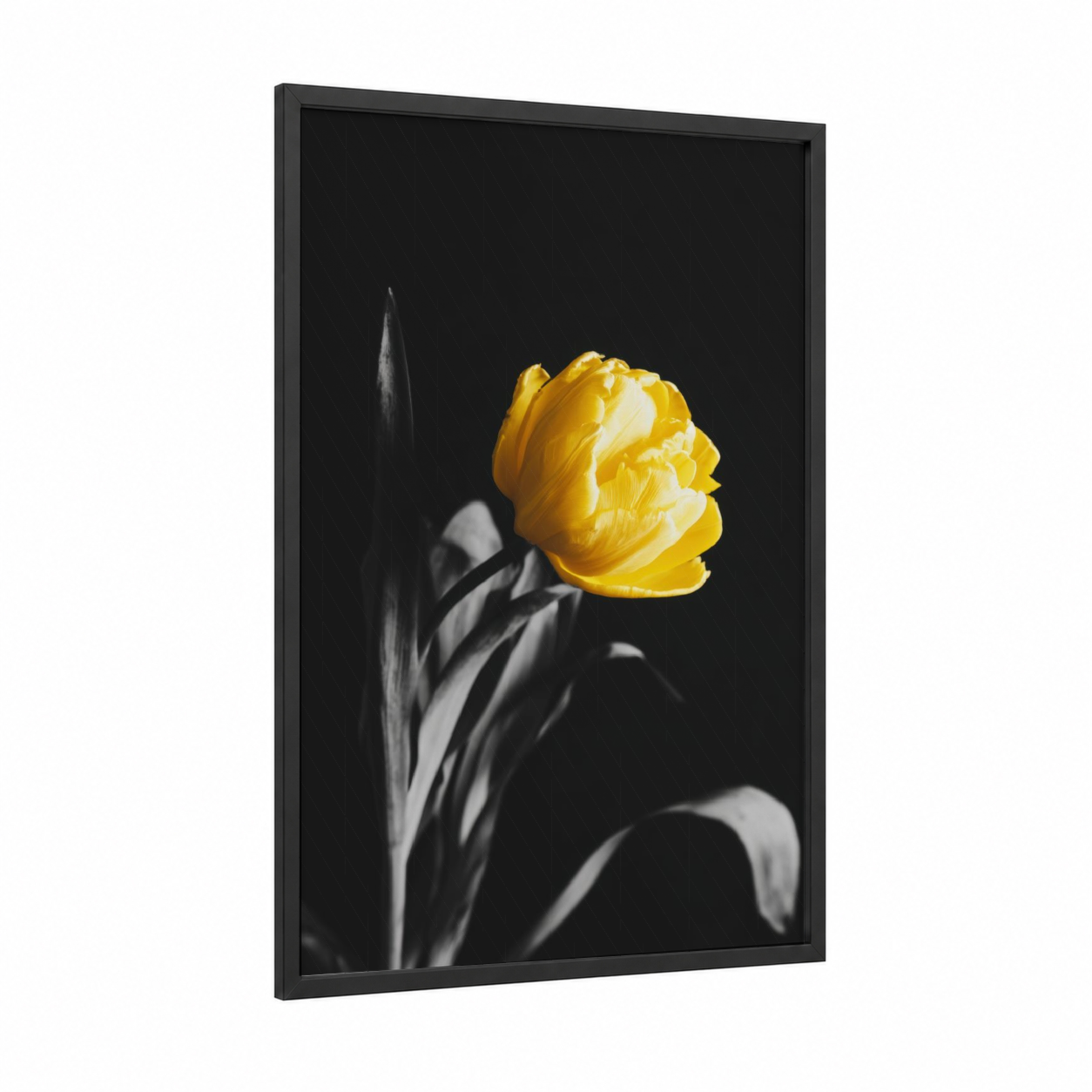 Golden Tulip framed abstract flower print — black wood frame — yellow gold and black and white palette