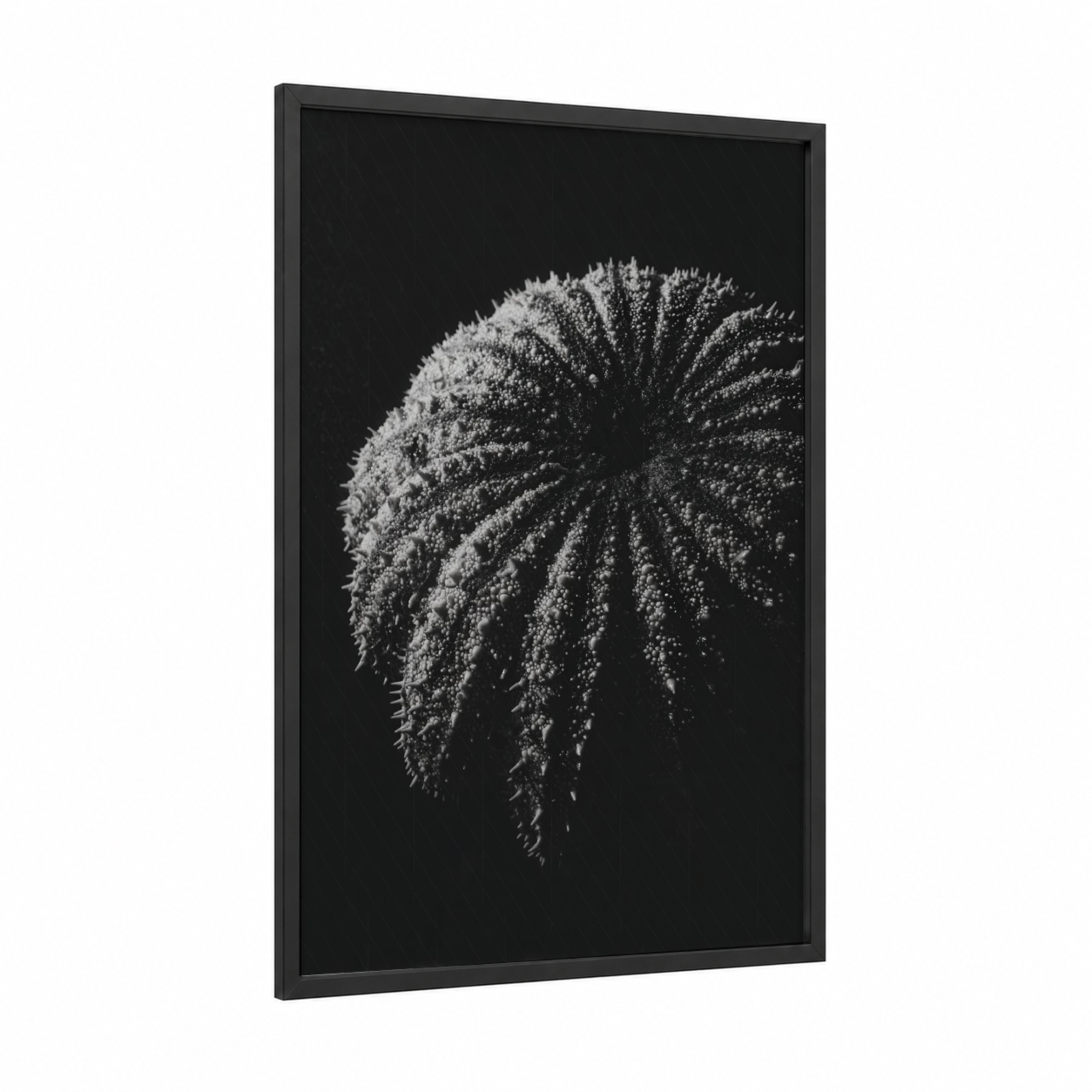 Spiky Sea Urchin framed art print — black wood frame — black and white palette