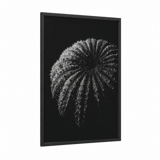 Spiky Sea Urchin framed art print — black wood frame — black and white palette