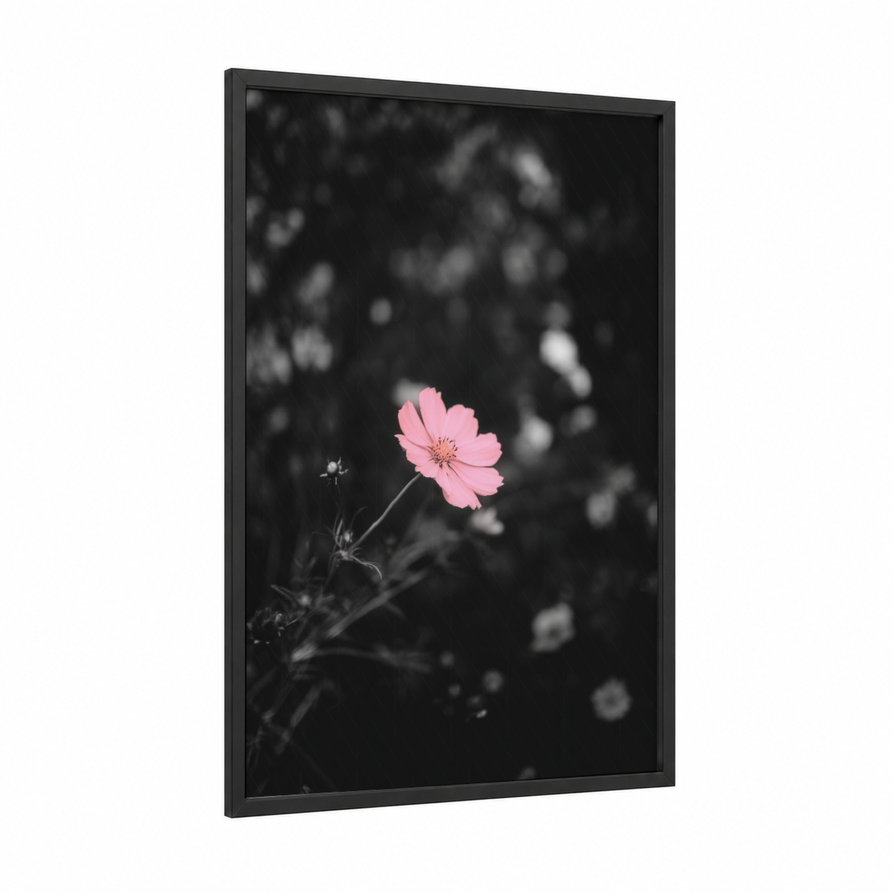 Pink Bloom Focus framed abstract flower print — black wood frame — pink and black and white palette