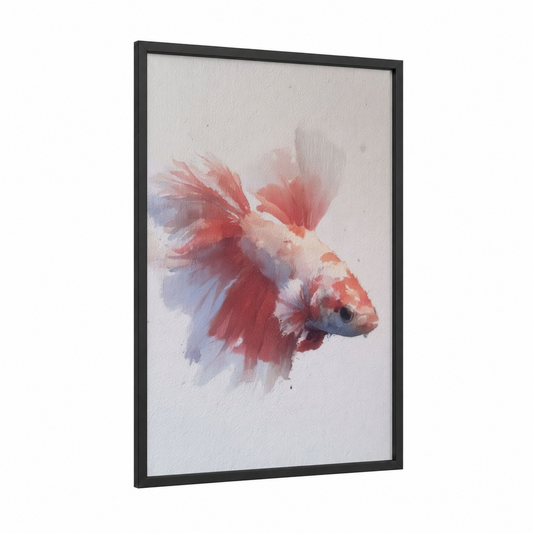 Crimson Betta Fish framed fighting fish print — black wood frame — red and blue palette