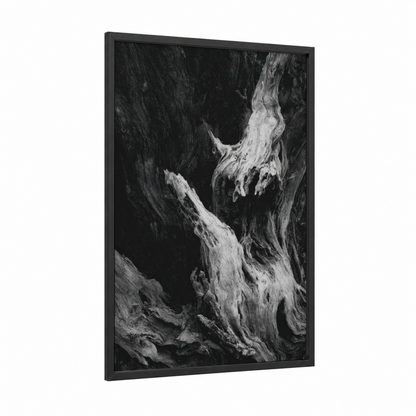 Ancient Olive Tree framed art print — black wood frame — black and white palette