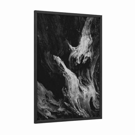 Ancient Olive Tree framed art print — black wood frame — black and white palette