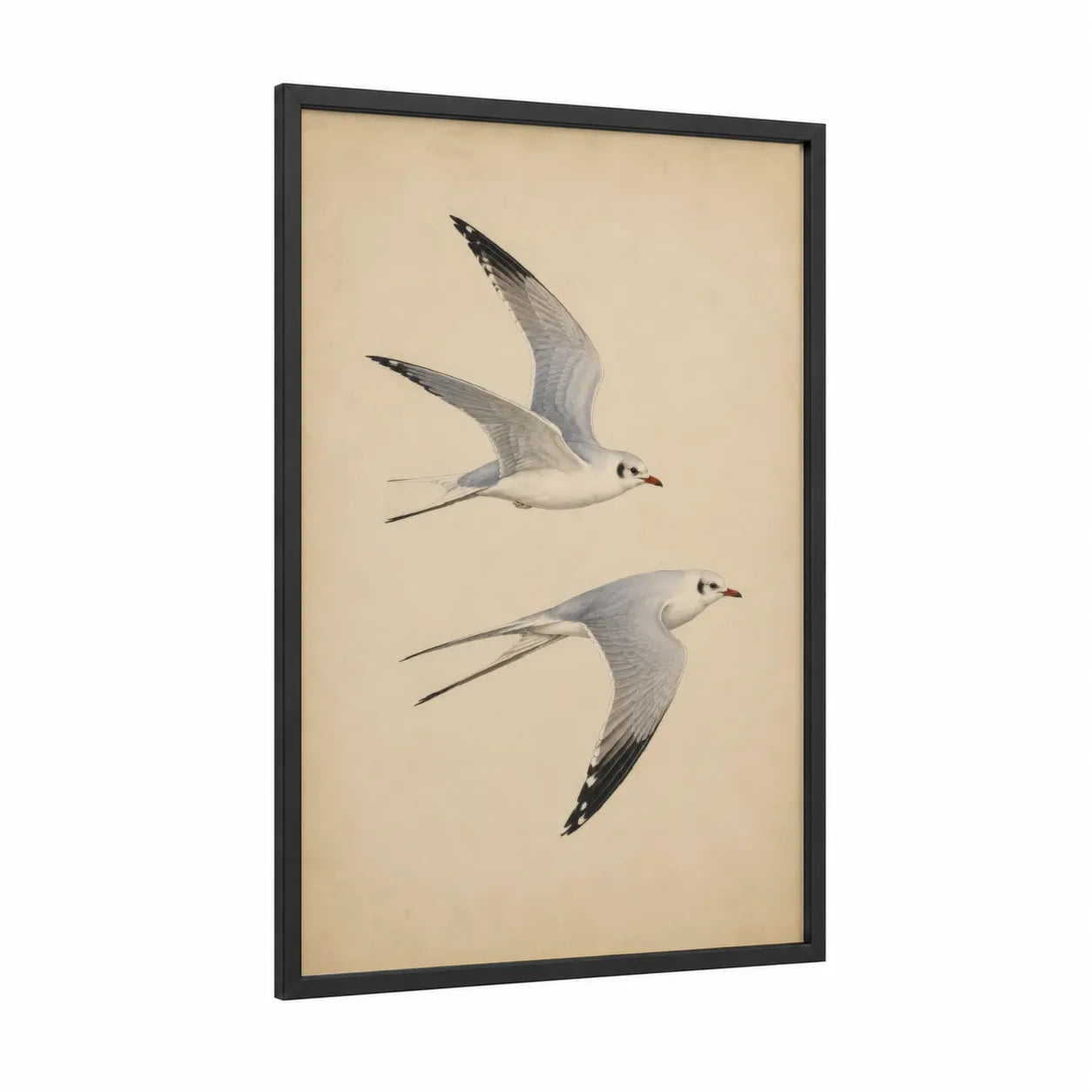 Seagull in Flight Wall Art framed art print — black wood frame — beige and gray and white palette