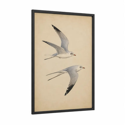 Seagull in Flight Wall Art framed art print — black wood frame — beige and gray and white palette