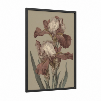 Mauve Iris Pair framed art print — black wood frame — maroon and cream palette
