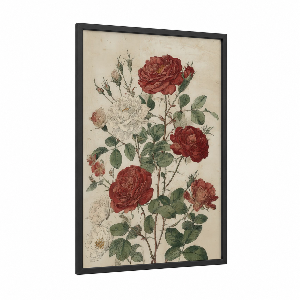 Vintage Rose Study framed roses print — black wood frame — cream and maroon palette