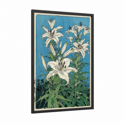 White Amaryllys Blue framed amarillys print — black wood frame — blue and white palette