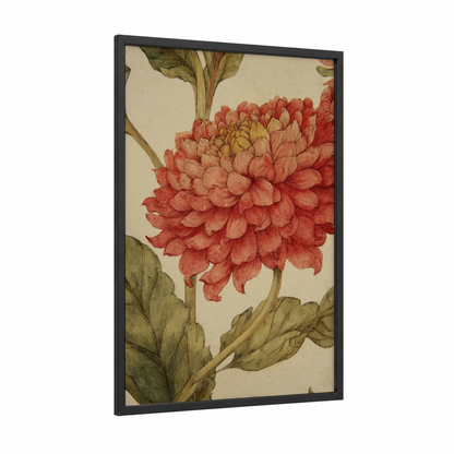 Coral Dahlia framed art print — black wood frame — salmon pink and sage green palette