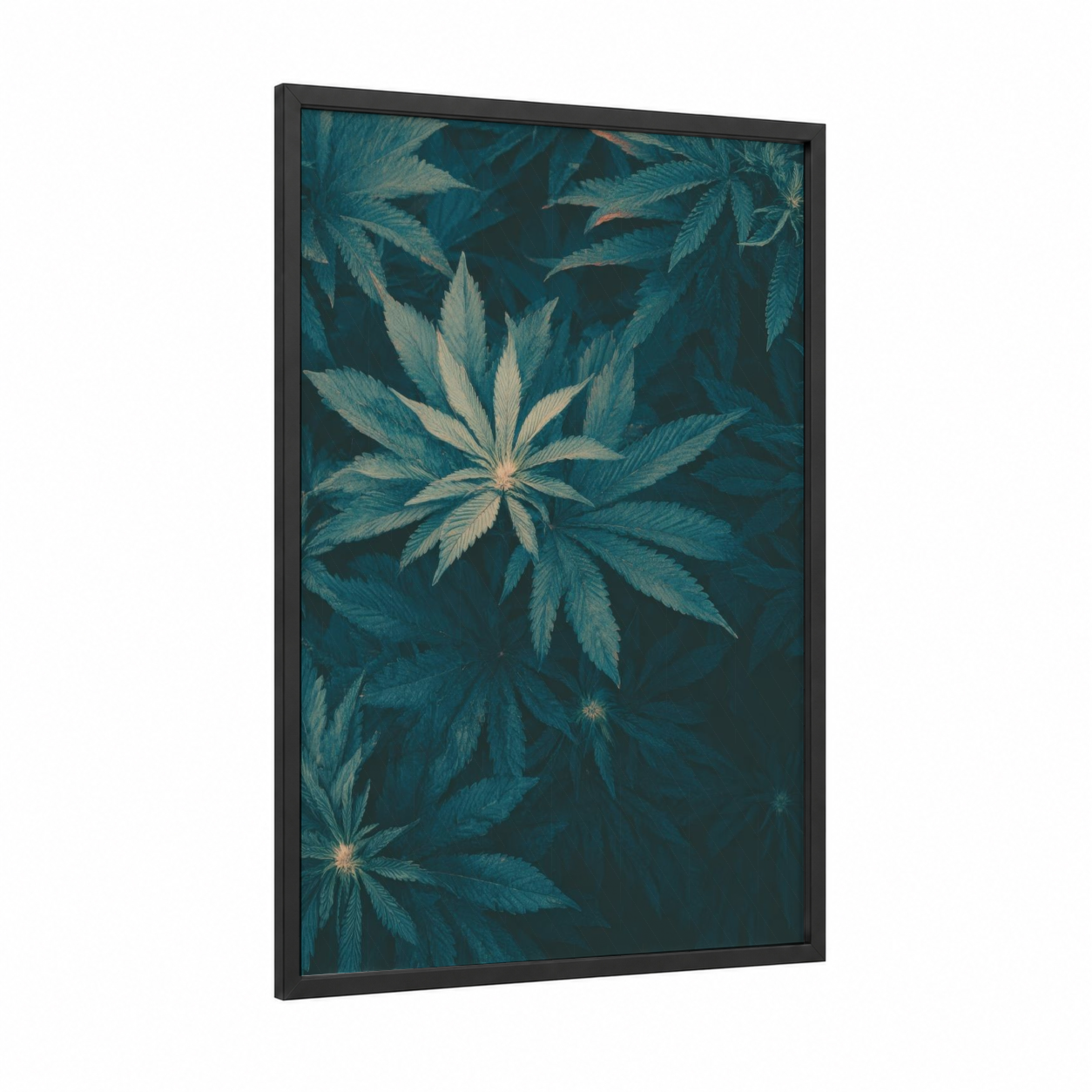 Teal Cannabis Botanical framed marijuana print — black wood frame — teal and gold palette
