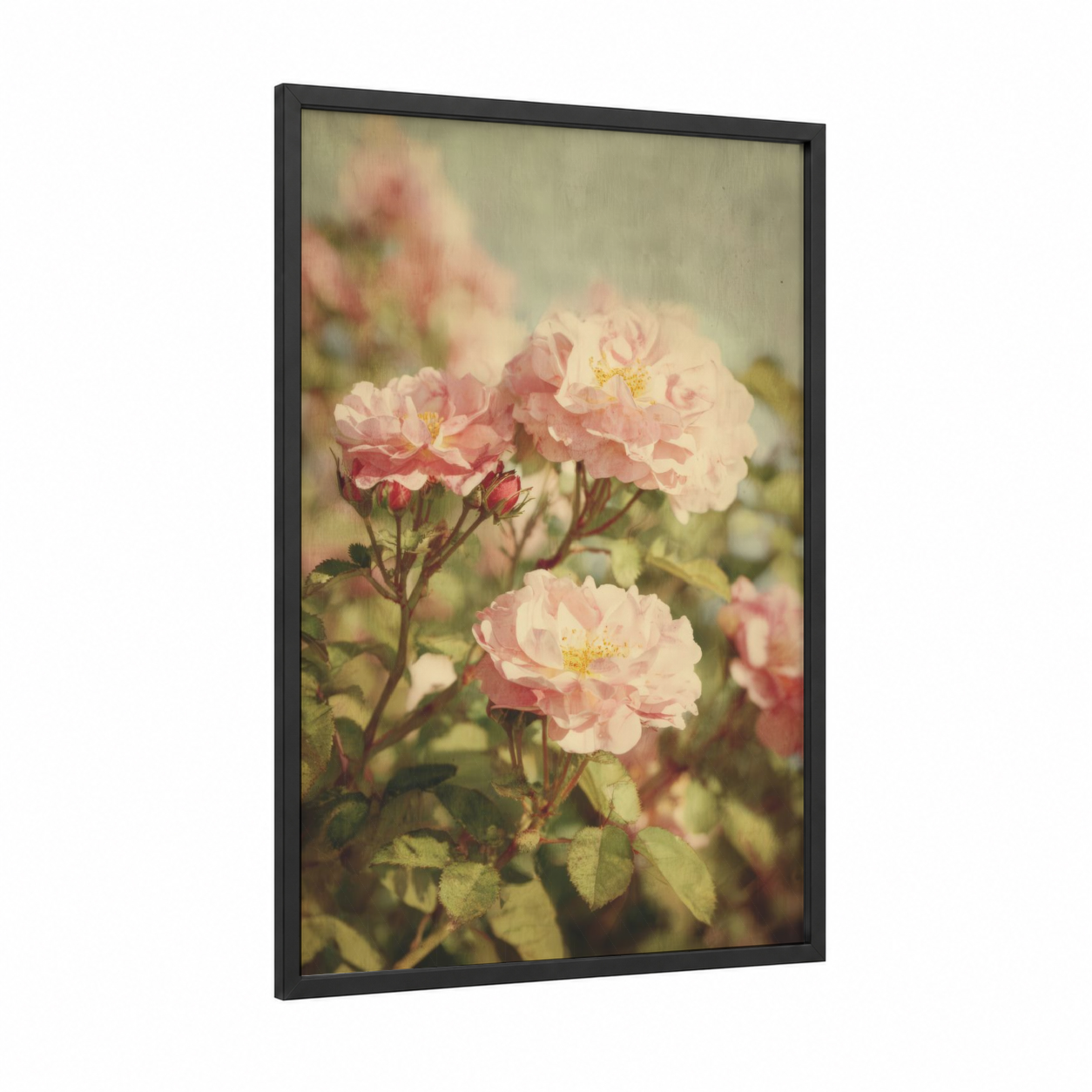 Vintage Garden Roses framed art print — black wood frame — pink and sage green palette