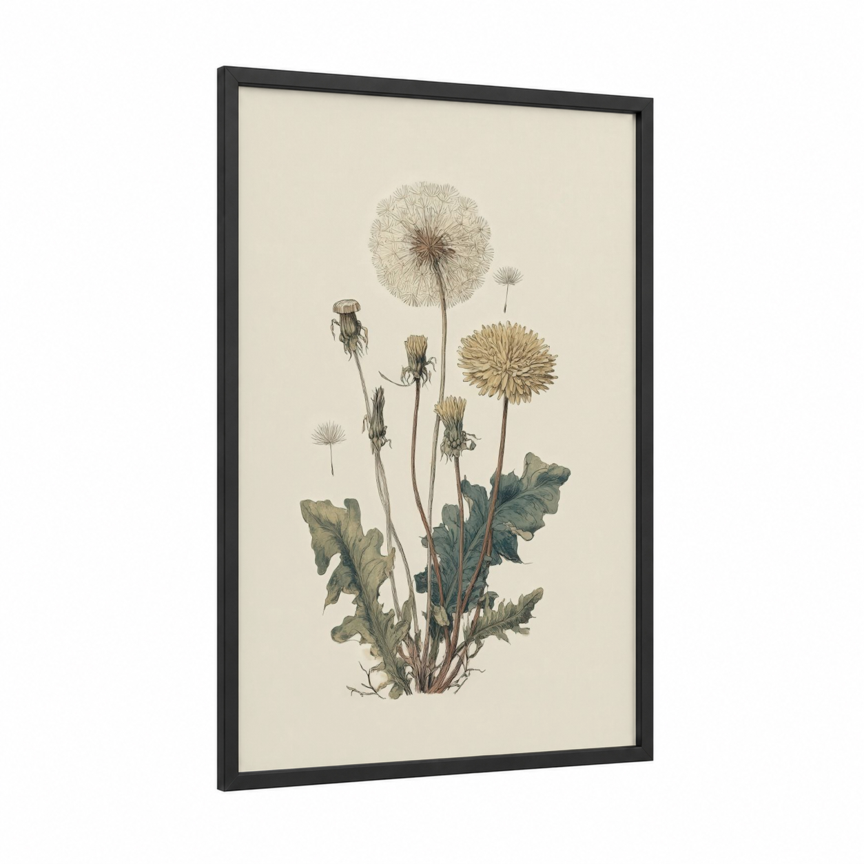 Botanical Dandelion framed art print — black wood frame — beige and sage green palette