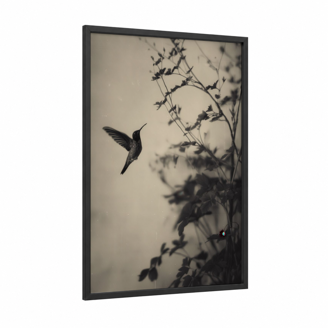 Hummingbird in Flight framed art print — black wood frame — black and white and gray palette