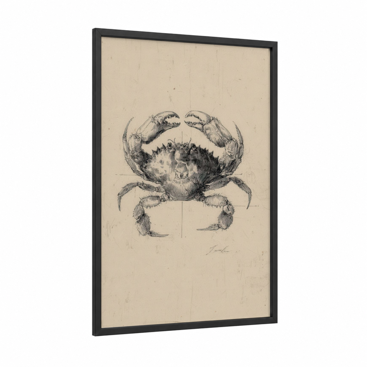 Vintage Crab Study framed art print — black wood frame — black and white and beige palette