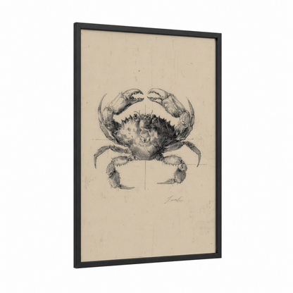 Vintage Crab Study framed art print — black wood frame — black and white and beige palette