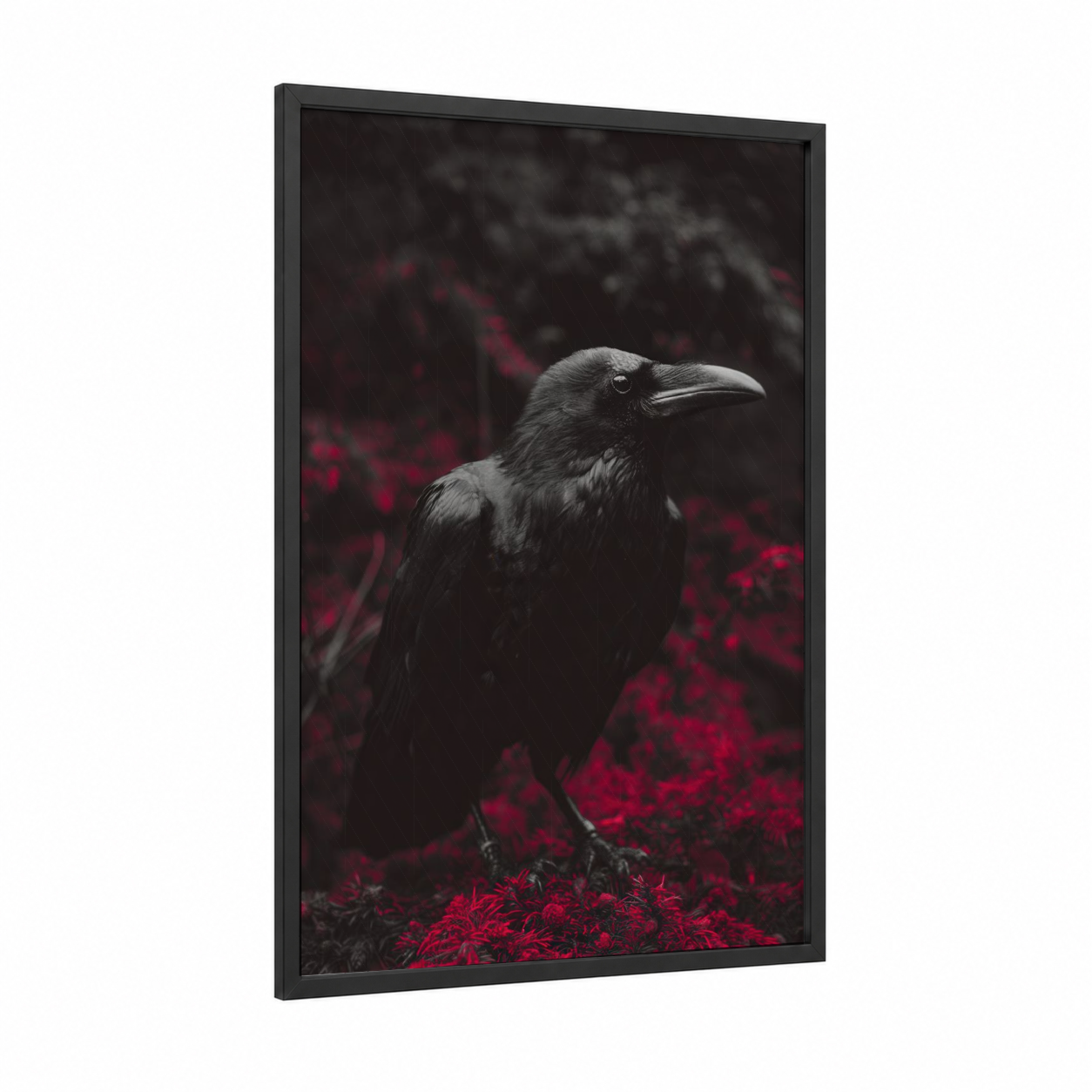 Crimson Raven framed crows and ravens print — black wood frame — black and red palette
