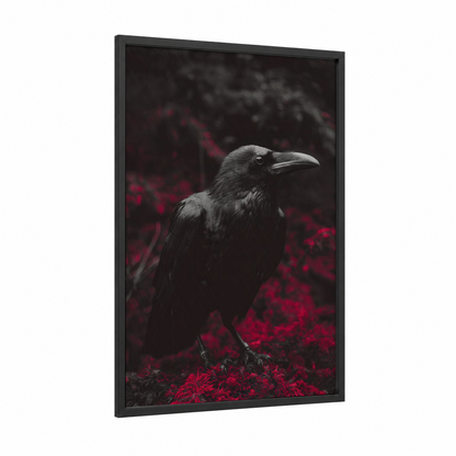 Crimson Raven framed crows and ravens print — black wood frame — black and red palette