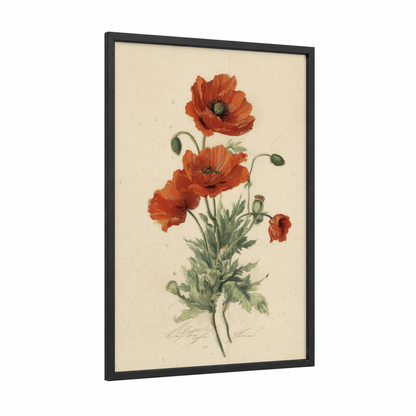 Crimson Poppies Botanical framed art print — black wood frame — red and cream palette