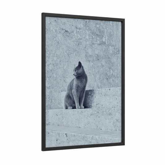 Urban Cat framed art print — black wood frame — gray and white palette
