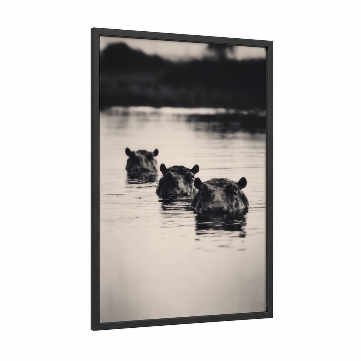 River Hippos framed art print — black wood frame — black and white and gray palette