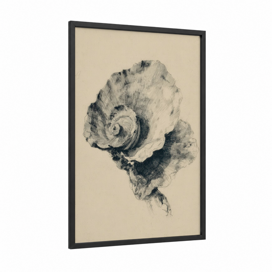 Sketched Oyster Shell framed art print — black wood frame — black and white palette