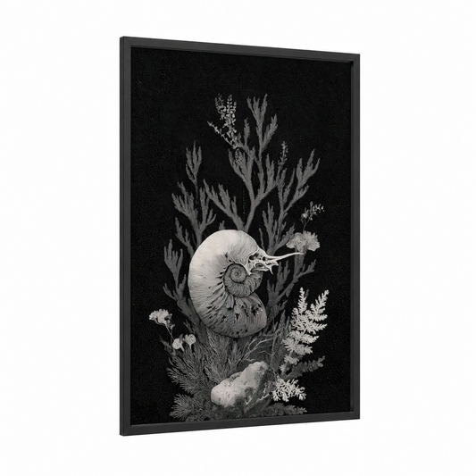 Spiral Nautilus framed art print — black wood frame — black and white and gray palette
