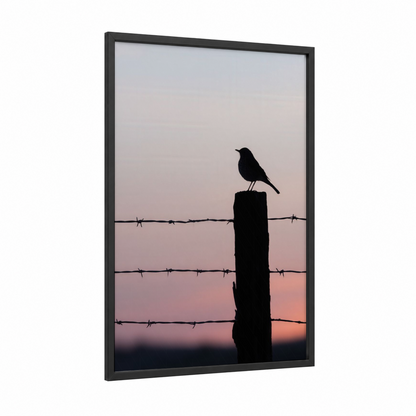 Sunset Thrush framed art print — black wood frame — salmon pink and dove gray palette