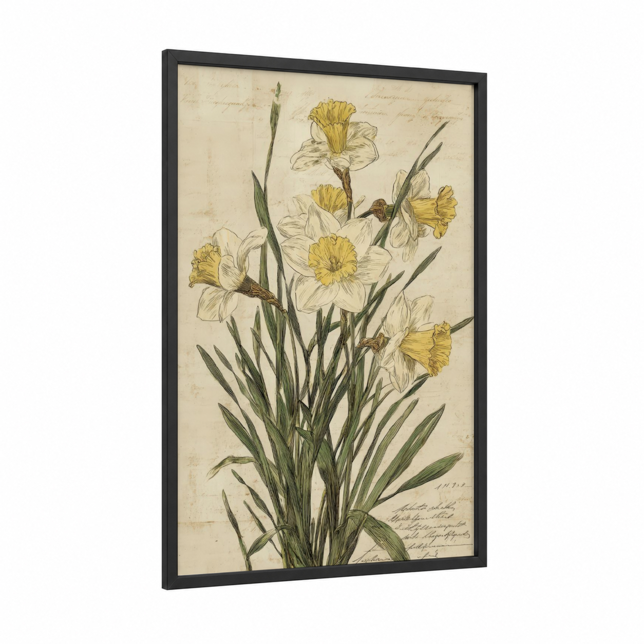 Spring Daffodils framed art print — black wood frame — cream and light green palette